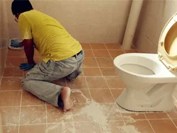 Toilet Treatments